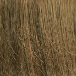 10/16 Medium Golden Brown tipped with Dark Ash Blonde