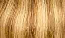14/24F Tan Beige Dk. Blonde w/Lt. Ash Blonde