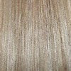 Color 14/24H = DARK BLONDE/LIGHT STRAWBERRY BLONDE HIGHLIGHTS