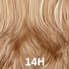 Dark Blonde w/ Light Wheat Blonde Highlights