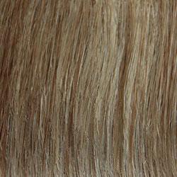 14/22 Honey Blonde blended with Ash Blonde