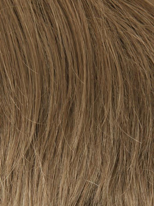 14 LIGHT BROWN BLONDE | Light Brown & Blonde Blended