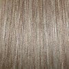 18/22H | Light ash brown with light ash blonde highlights
