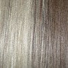 18/22 | Light Ash Brown (18) frosted with Champagne Blonde (22)
