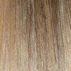 18B/24T | Light Ash Brown (18) frosted with Golden Blonde (24) and tipped with Lighter Blonde