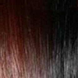 1BN273 | Off Black (1B) base tipped with Light Gold Blonde