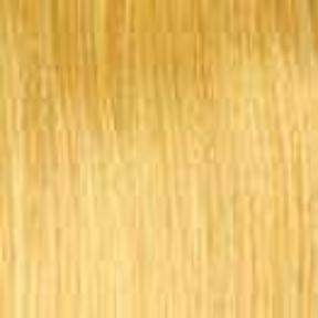 22N Light Pale Blonde