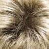 26GR | Gold blonde with light blonde highlights and brown roots