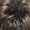 4GR | Dark brown with medium brown highlights and black roots