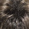 Color 4GR = Dark brown with medium brown highlights and black roots