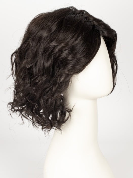 DARK BROWN SHADED 4.2 | Darkest Brown blended with Dark Brown