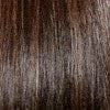Color 8H = MEDIUM BROWN/GOLDEN BROWN HIGHLIGHTS