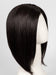 RL2/4 OFF BLACK | Black Evenly Blended with Dark Brown Highlights