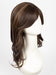FS4/27 | 80% Medium Dark Brown with 20% Honey Blonde Frost
