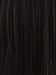 FS1B/30 | 80% Off Black with 20% Copper Blonde Frost