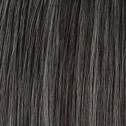 Sugared Charcoal - Darkest Brown w/50% Silver Grey