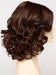 CINNAMON-RAISIN | Medium Brown with Auburn and Cinnamon highlights