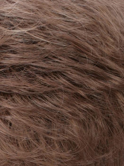 R12/26H | Light Brown w/Golden Blonde Highlights on Top