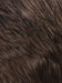 R14/8H | Golden Brown w/Dark Blonde Highlights on Top