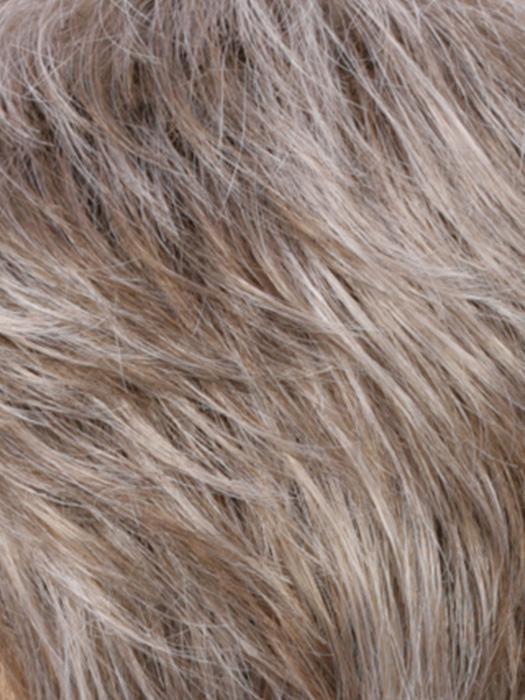 R17/101 | Ash Brown/Platinum Blonde Blend
