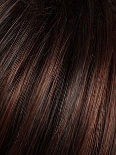 SS4/33 | SHADED EGGPLANT | Dark Dark Brown with Subtle Warm Highlights Roots