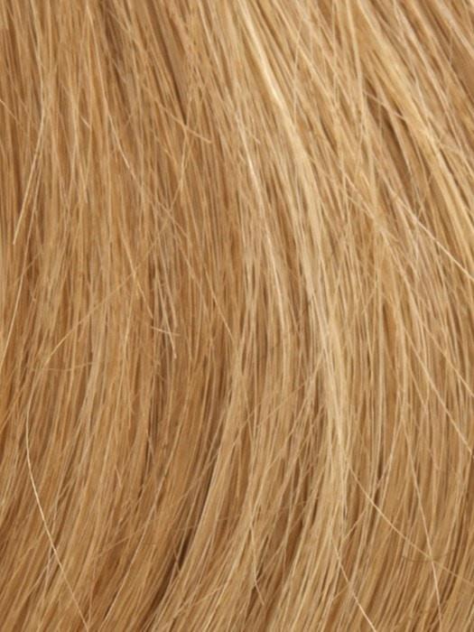 14/27/25 SUN KISSED BLONDE | Light Brown Blended w. Light Red & Blonde Tones