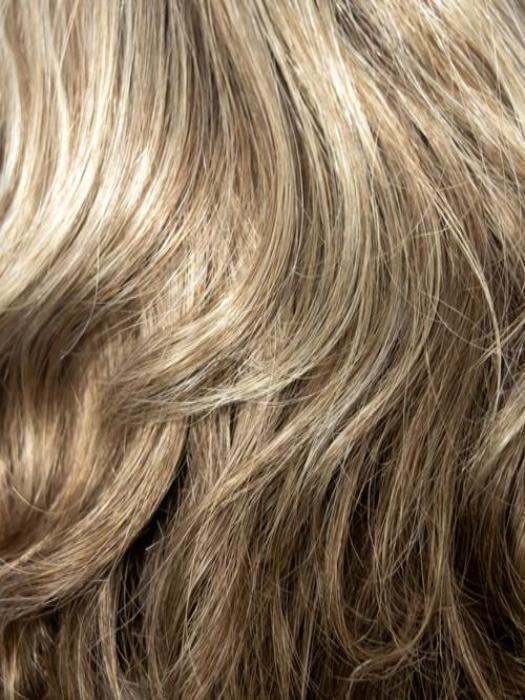 9TONES | Light Chestnut Brown, Medium Golden Brown, Darkest Brown, blended with Darkest Brown with 40% Gray
