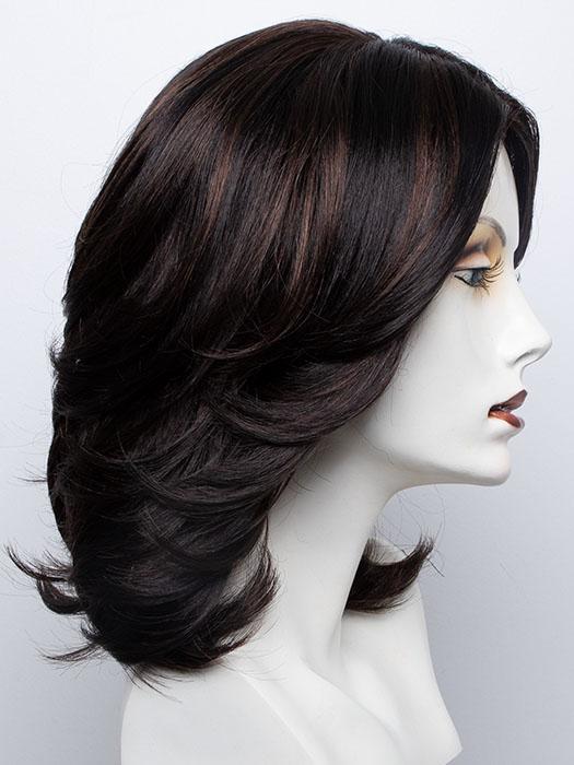 FS1B/30 | 80% Off Black with 20% Copper Blonde Frost