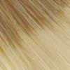 Color RT613/27 = LIGHT AUBURN TIPPED WITH PALE BLONDE