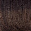 Color SS10 = Chestnut: Rich dark brown with light brown highlights all over, dark brown roots