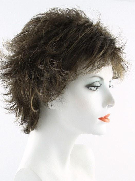 12HL06 Light Golden Brown with Medium Chestnut Brown Highlights