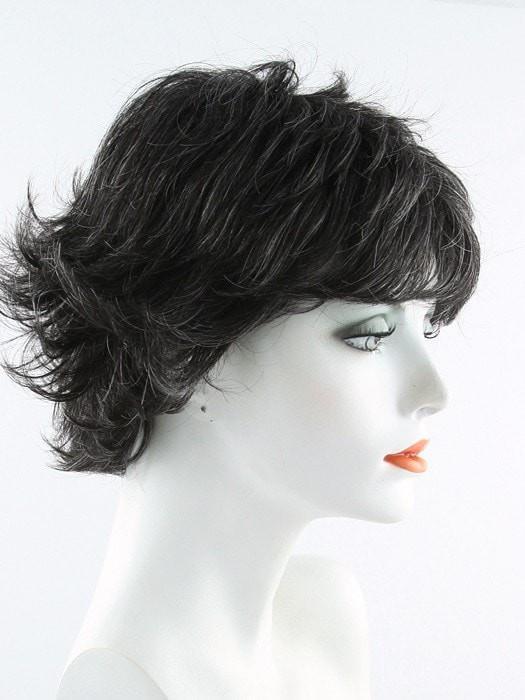 280 Darkest Brown Blended with 10% Grey