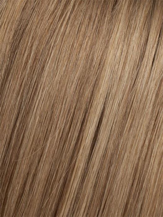 8/14T Light Chestnut Brown Blended with Dark Ash Blonde, Dark Ash Blonde Tips