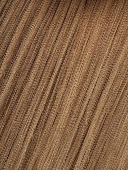 10/14T Medium Golden Brown Blended with Dark Ash Blonde, Dark Ash Blonde Tips