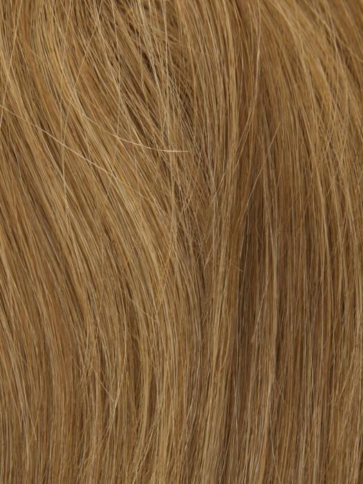 14/27/25 SUN KISSED BLONDE | Light Brown Blended with Light Red and Blonde Tones