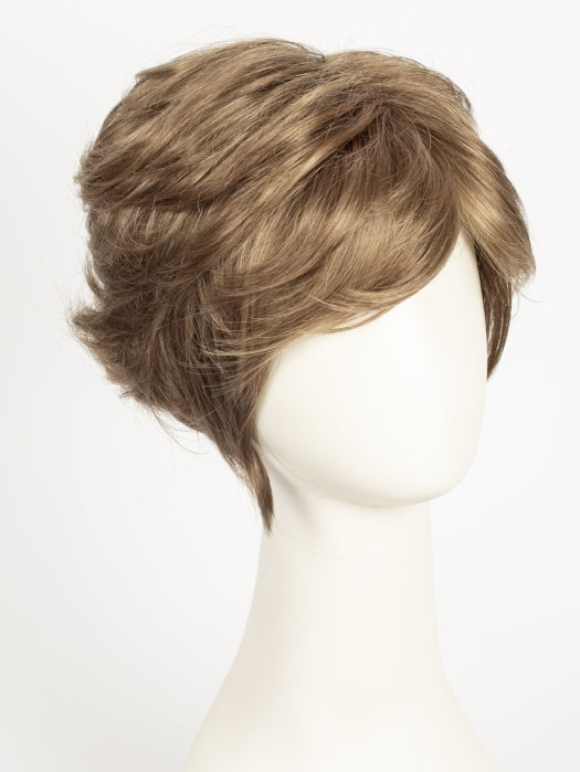 R12/26H | Light Brown with Golden Blonde Highlights on Top