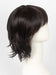 2/4R | Very Dark Brown with highlights