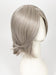 RL119 SILVER AND SMOKE | Light Brown with 80% Gray in Front Gradually into 50% Gray Towards the Nape