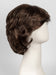 Color R10 = Chestnut: Rich dark brown with coffee brown highlights all over