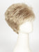 Color R14/88H = Golden Wheat: Medium Blonde Streaked With Pale Gold Highlights