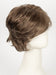 Color 10H16 = Latte: Lt Brown w/ 20% Ash Blonde Highlights