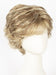 R12/26CH | Light Brown w/Chunky Golden Blonde Highlights