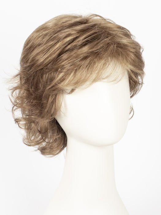 R12/26H | Light Brown w/Golden Blonde Highlights on Top