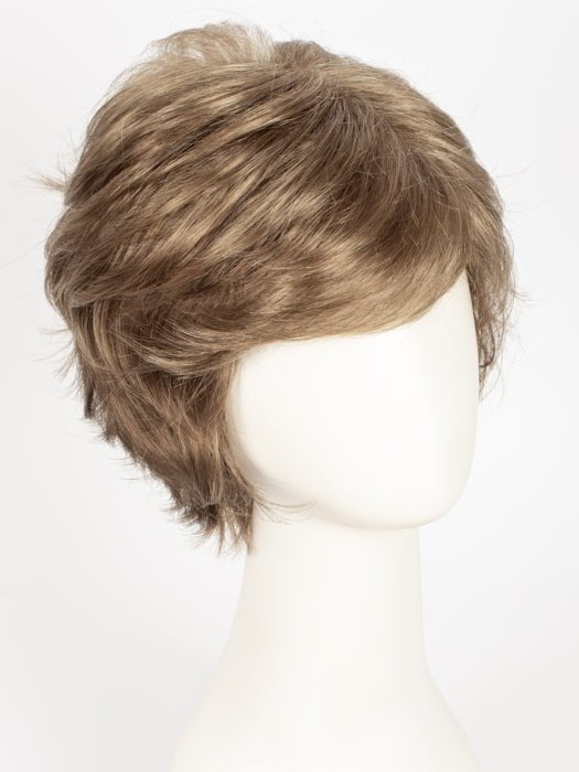 R12/26H | Light Brown w/Golden Blonde Highlights on Top