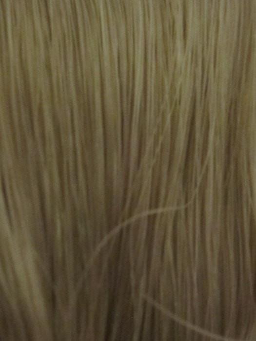 F16/24 | Honey Blonde Frosted with Golden Blonde