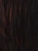FS1B/33 | 80% Off Black with 20% Dark Auburn