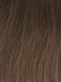 GL10-12 | SUNLIT CHESTNUT | Rich Brown with Caramel Highlights