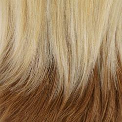 GM613/27 Gradual Mix OMBRE Color. Platinum Blonde (#613)Top, Honey Blonde (#27) Bottom