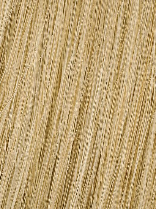 Color R14/88H = Golden Wheat: Medium Blonde Streaked With Pale Gold Highlights