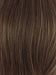 12 LIGHT BROWN | Light Golden Brown with subtle highlights
